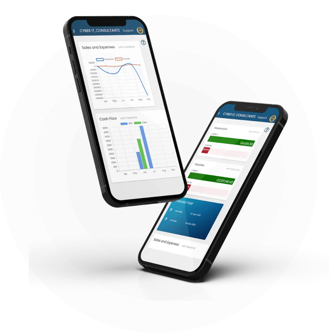 Moneypex Accounting Mobile App